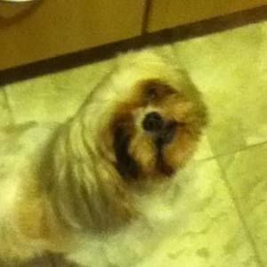 Meet your Posher, Jordan